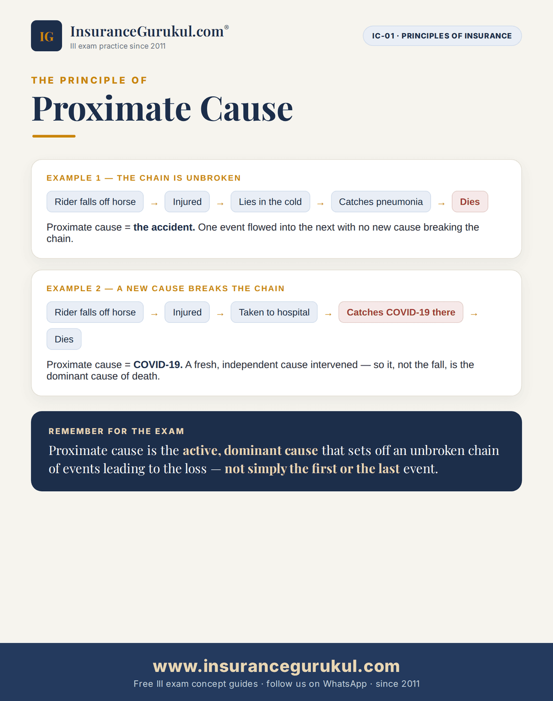 Proximate Cause